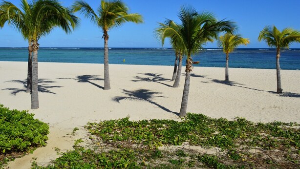 A beach with palm trees and clear blue water. - Apartment in residence (Blue Bay)