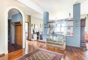 电视、壁炉、DVD 播放器、书