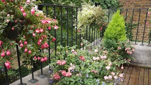 Een balkon met diverse bloeiende planten en een kleine boom.