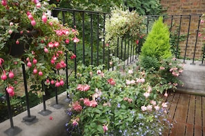 Garden roof terrace