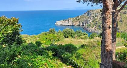 HORNBEAM BAY SCALEA. CIN IT078138C2FBM16Q7KN