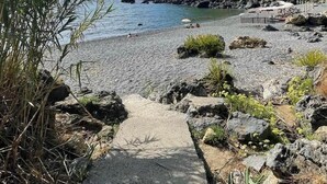 Een rotsachtig strand met een betonnen pad dat naar het water leidt, omringd door begroeiing en een klif.