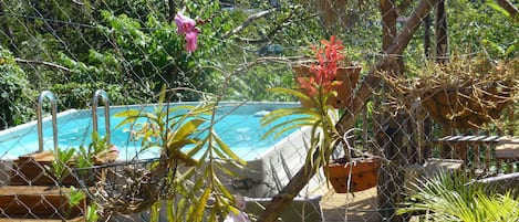 Piscine couverte, piscine extérieure