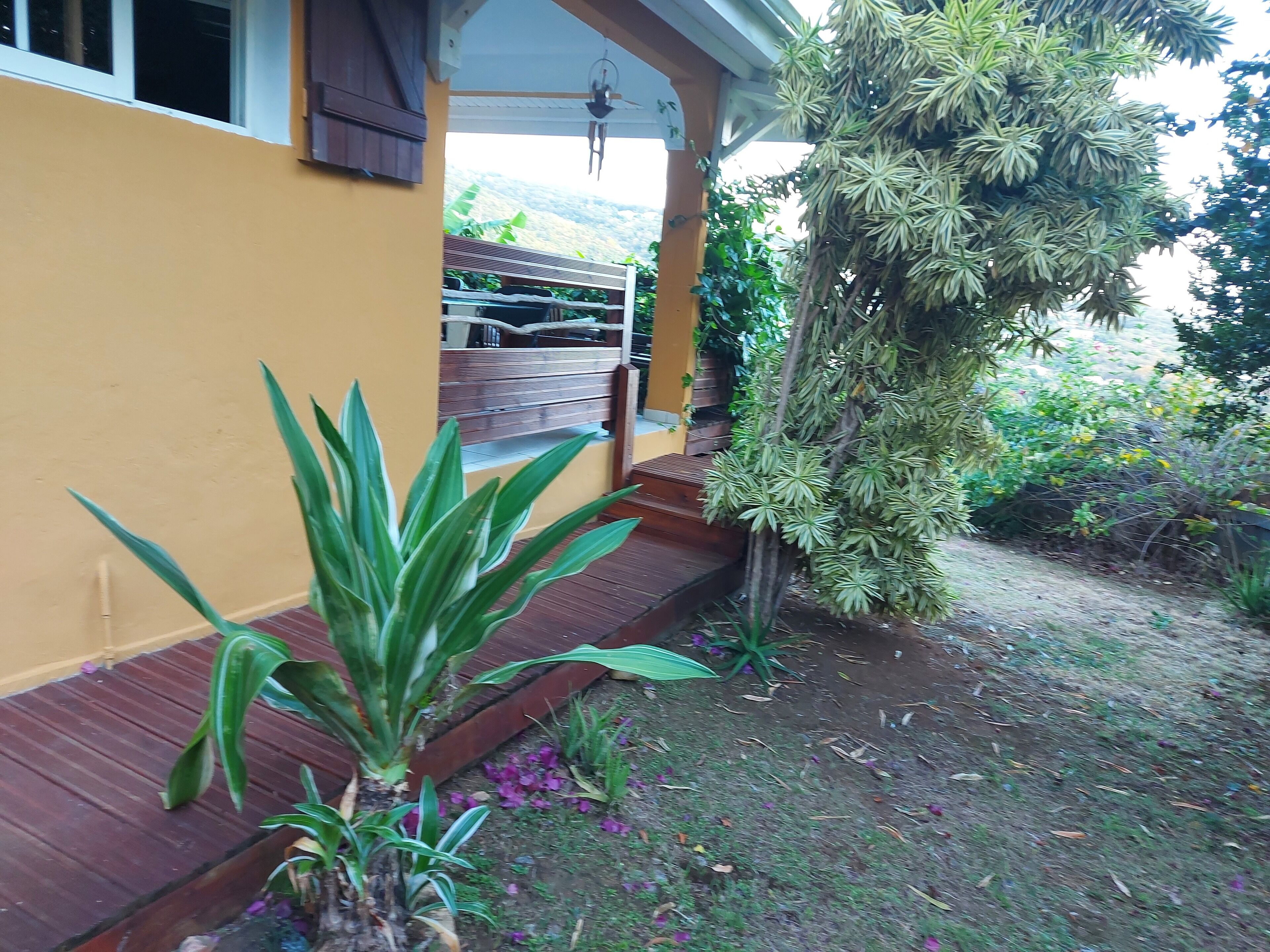 A wooden deck with a yellow wall, a hanging plant, and a view of a mountain.
