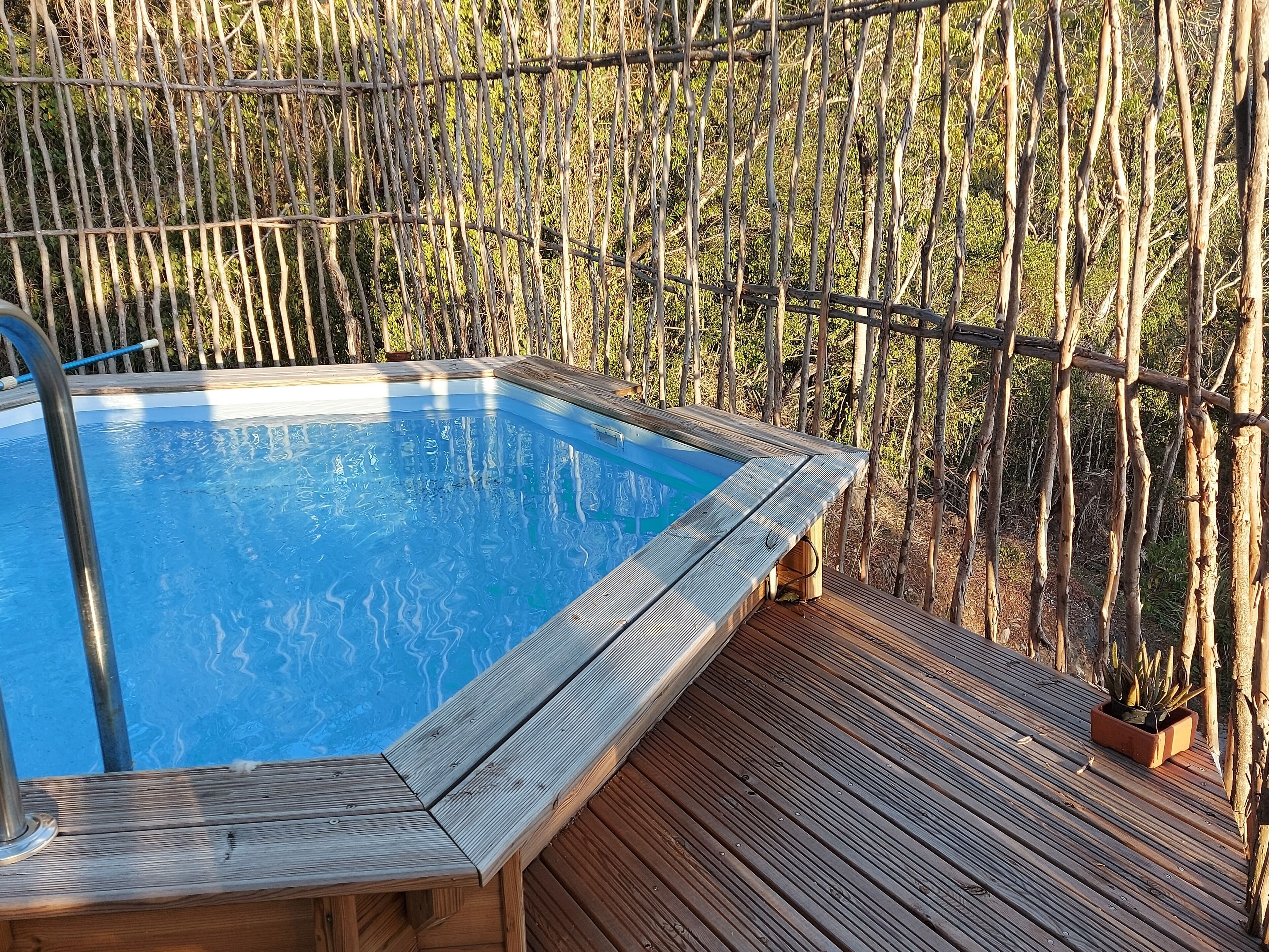 A wooden deck with a pool, surrounded by a bamboo fence.