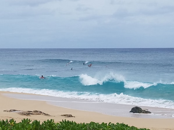 Plage, chaises longues, serviettes de plage