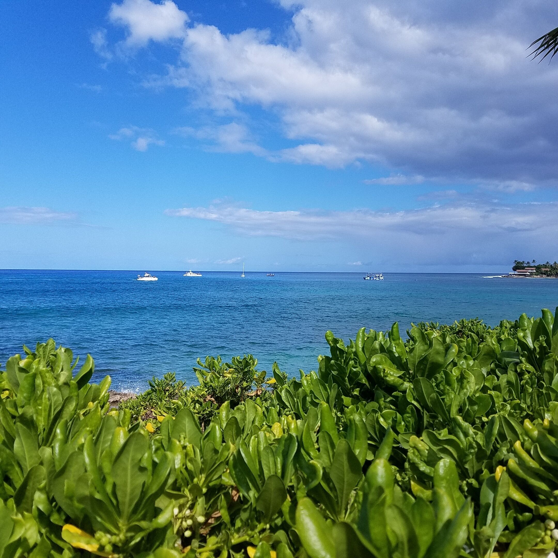 BEACH HOUSE on Scenic Makaha Beach with Free High Speed WIFI and Onsite Parking 