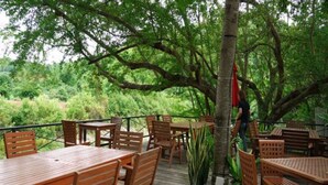 An outdoor patio with wooden tables and chairs, surrounded by lush greenery and trees. - GRANMONTE Wine Cottage (Pak Chong)