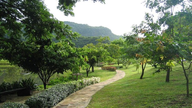A stone pathway winding through a lush garden with various trees and shrubs. - GRANMONTE Wine Cottage (Pak Chong)