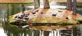 Top Rated! 3BR/2BA Renovated Villa, Steps from Private Beach. Ideal for Families