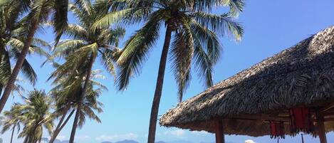 A beach with palm trees, thatched-roof huts, and beach umbrellas.