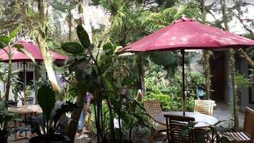 Terassi/patio
