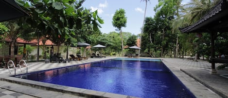 Uma piscina retangular com borda azulejada, cercada por espreguiçadeiras e guarda-sóis, com palmeiras e um edifício ao fundo.