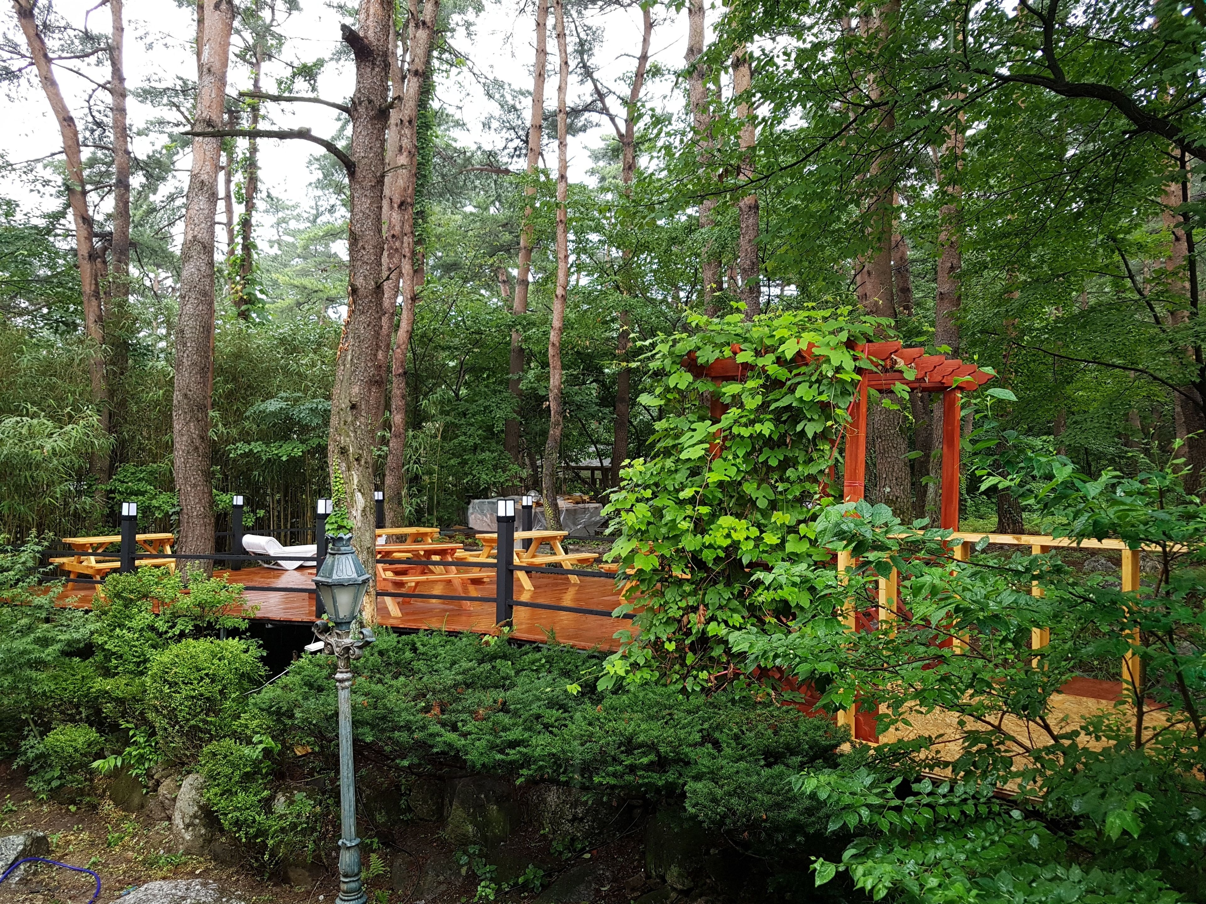 Habitación doble | Vista desde la habitación