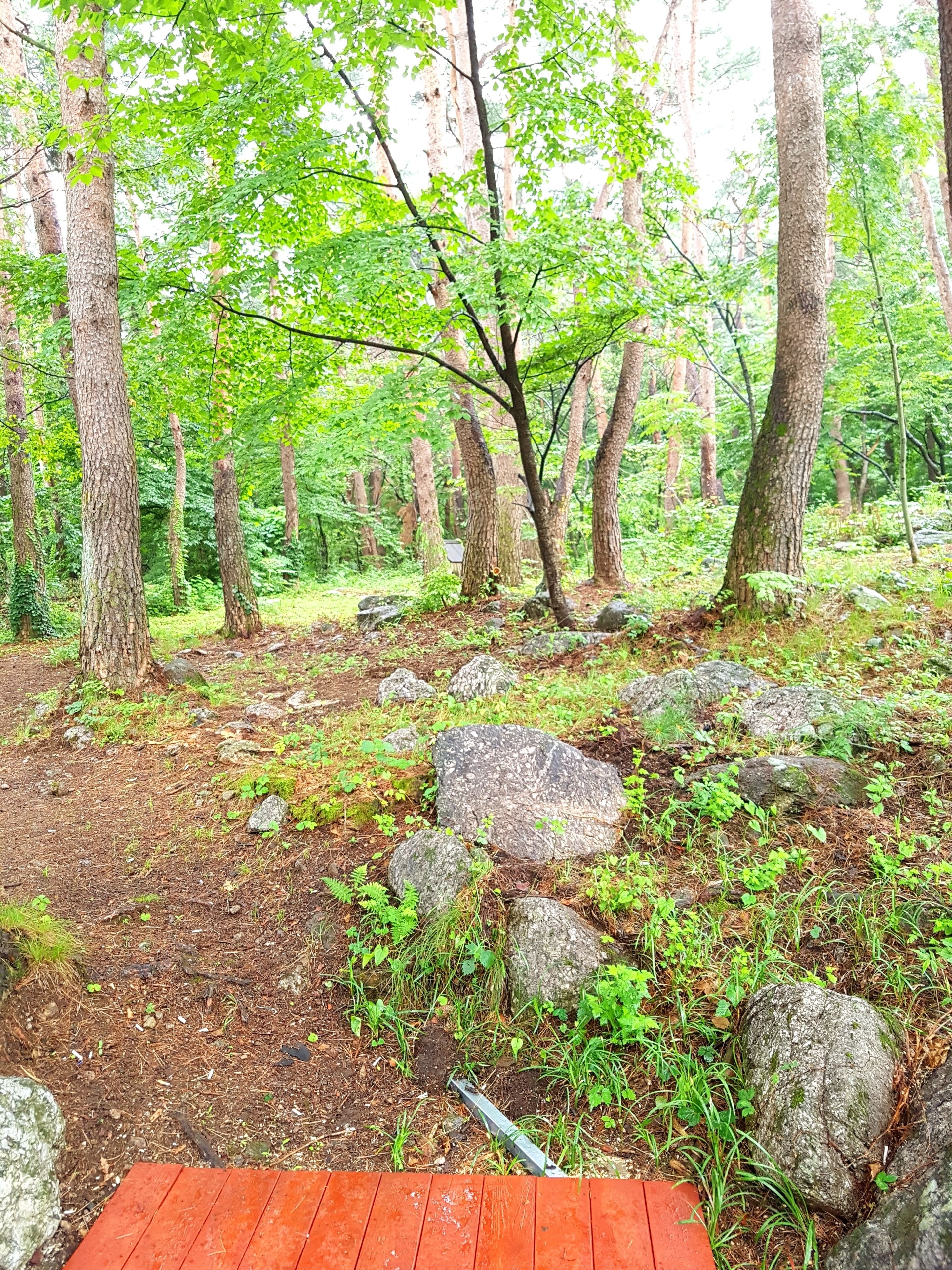 double room | view from room
