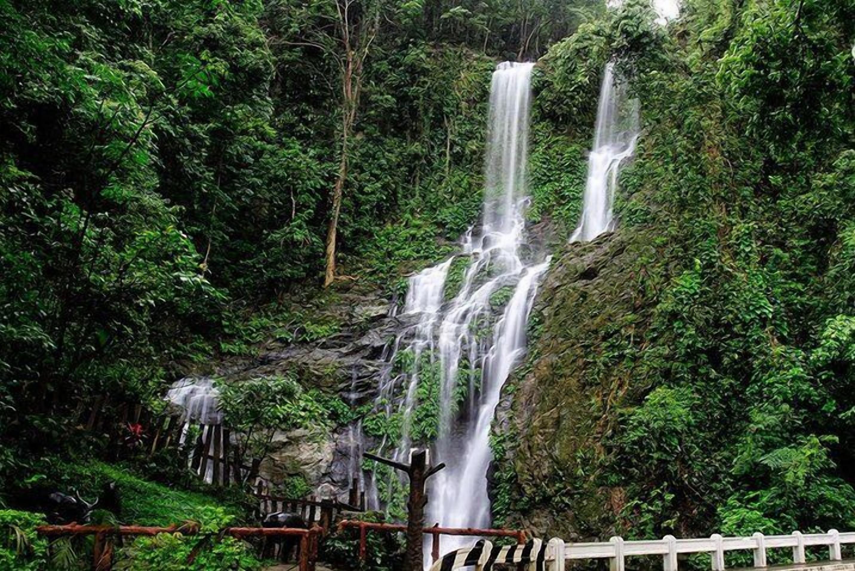 Una cascada se precipita por un risco rocoso rodeado de frondosa vegetación verde.