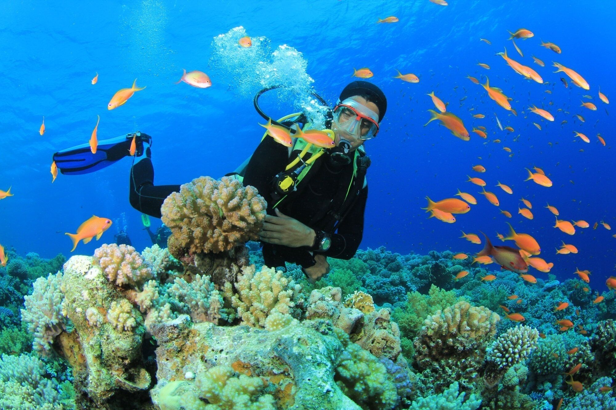 Ein Taucher, umgeben von farbenprächtigem Korallenriff und Fischschwärmen, zeugt von einer artenreichen Unterwasserwelt.