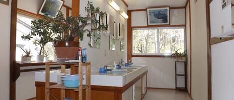 A kitchen with wooden shelves, a sink, and potted plants.