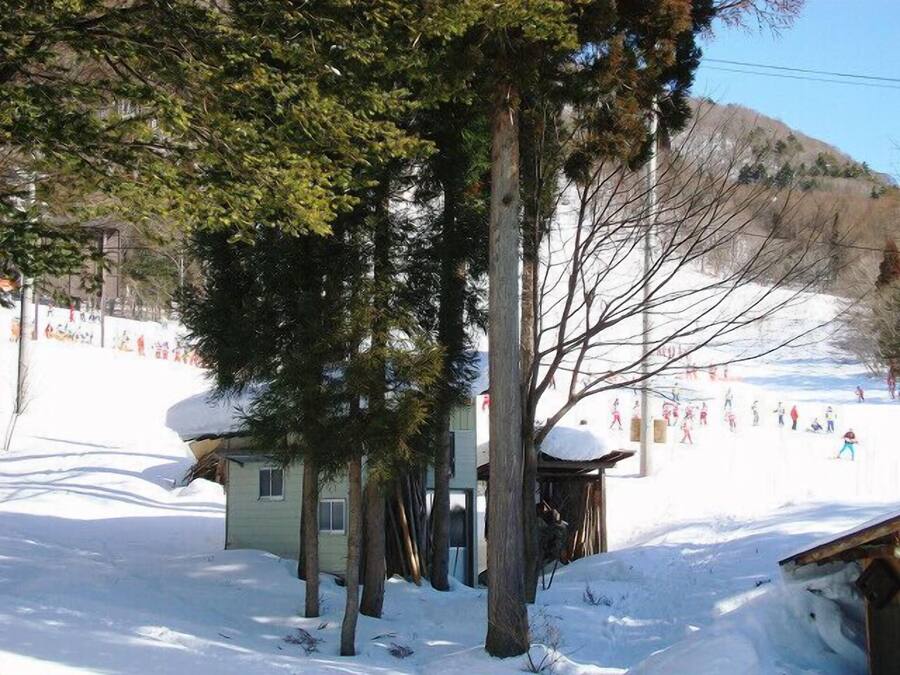 A small cabin with a snow-covered roof, surrounded by trees and a ski slope in the background.