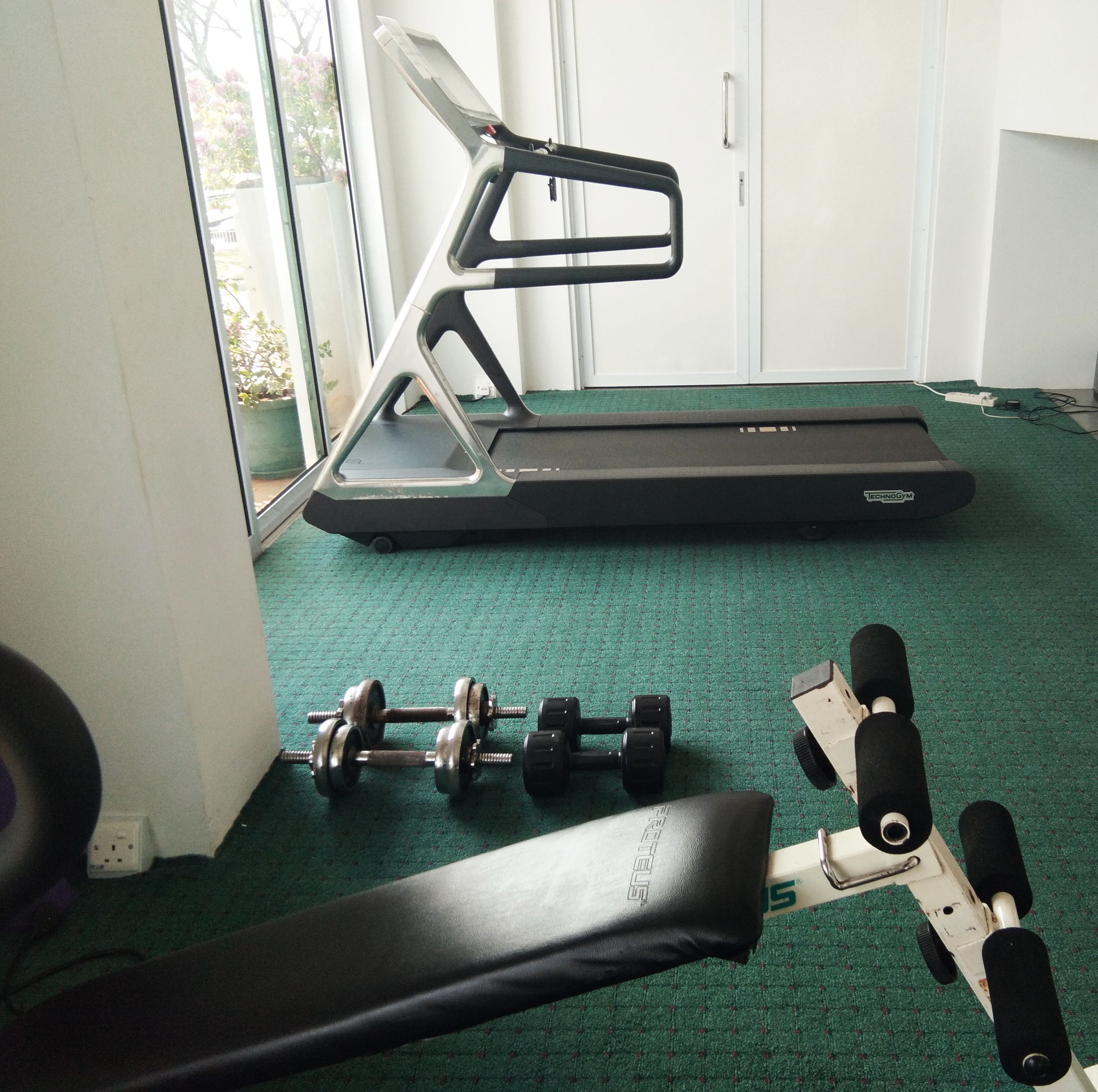 Un gimnasio con una cinta de correr, mancuernas y un banco.