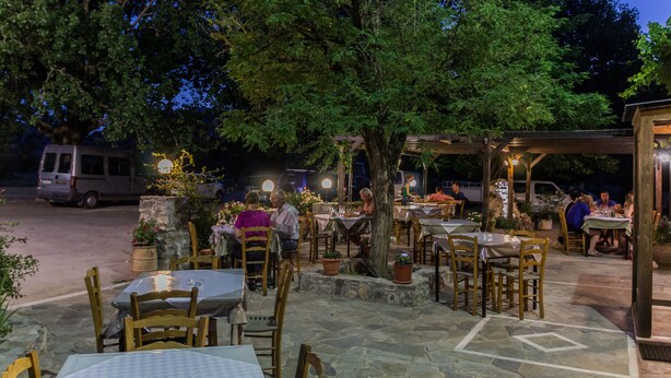 Un espace de restauration en plein air avec des tables et des chaises en pierre, entouré d’arbres et de plantes en pot.