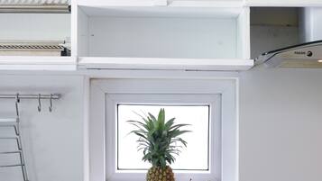 Basic Apartment | In-room dining