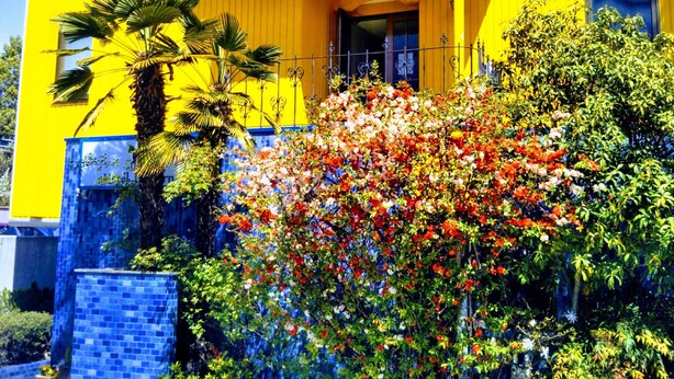 Un immeuble jaune à deux étages, doté d’un balcon, d’une entrée carrelée en bleu et orné de diverses plantes à fleurs devant la façade.