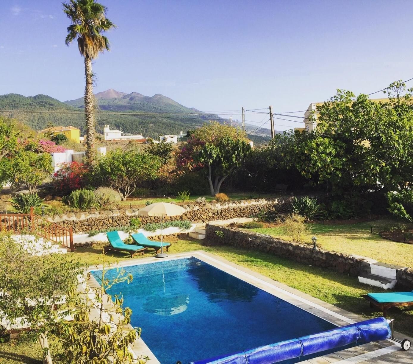 Una piscina rectangular con borde de piedra, rodeada por un jardín con diversas plantas y una palmera.