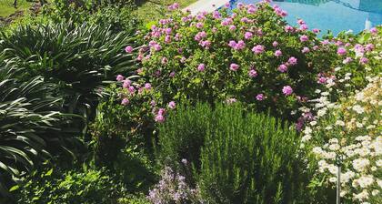 The El Paso Music School Design Hotel