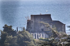 Exterior - Le Ginestre in Centro (Salerno)