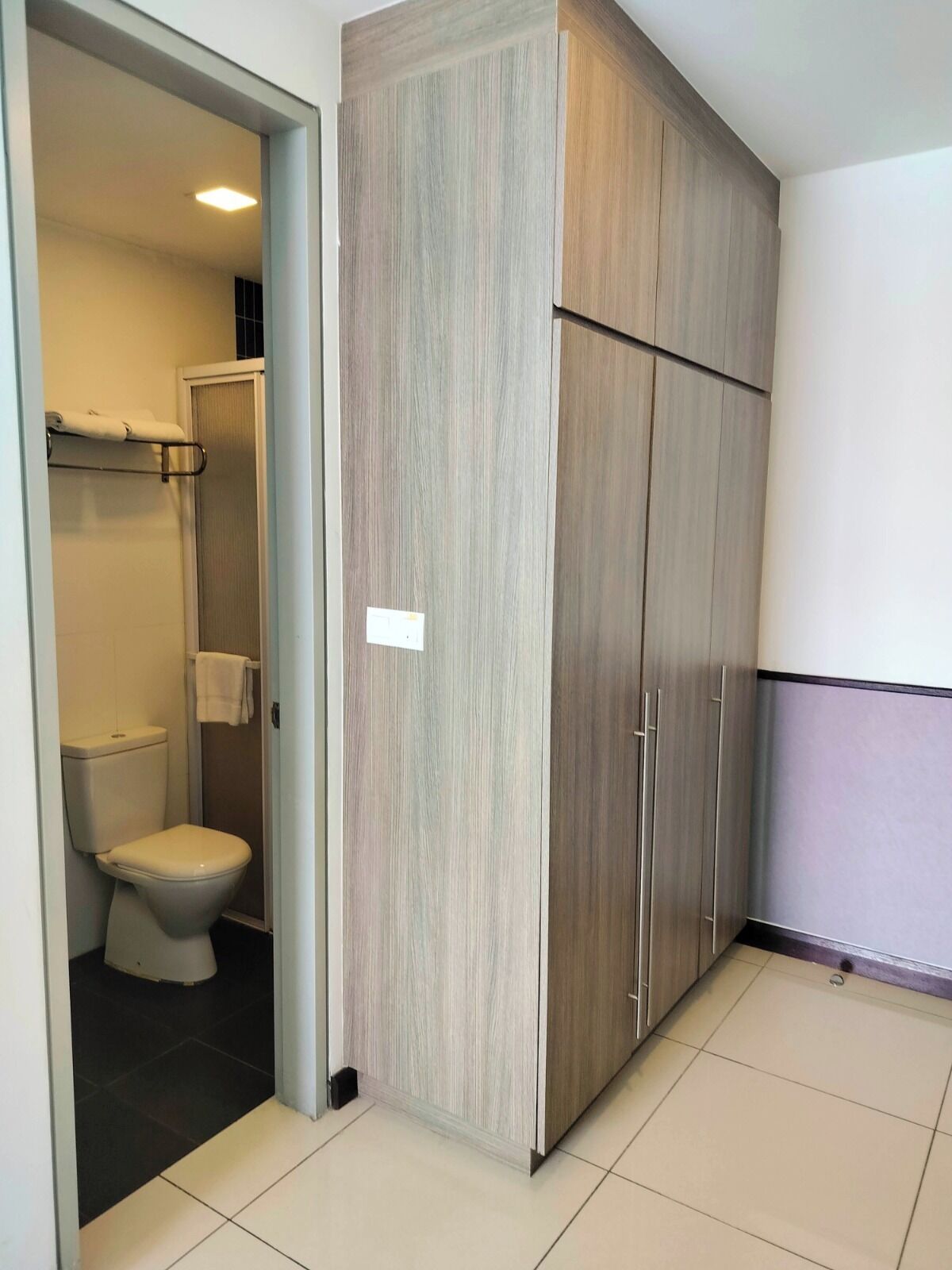 A bathroom with a toilet, a shower, and a wardrobe with a light wood finish.