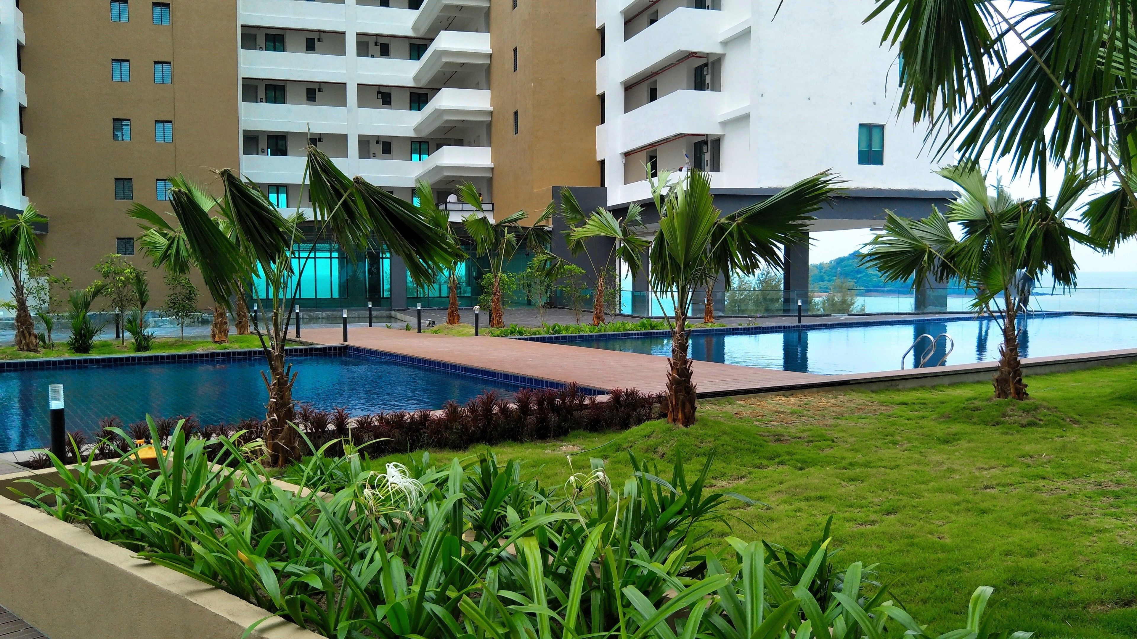 Una piscina rodeada de palmeras y vegetación, con un edificio moderno al fondo.
