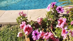 A swimming pool with clear blue water, surrounded by a stone wall and a wooden deck. - Riverview Guesthouse (East London)