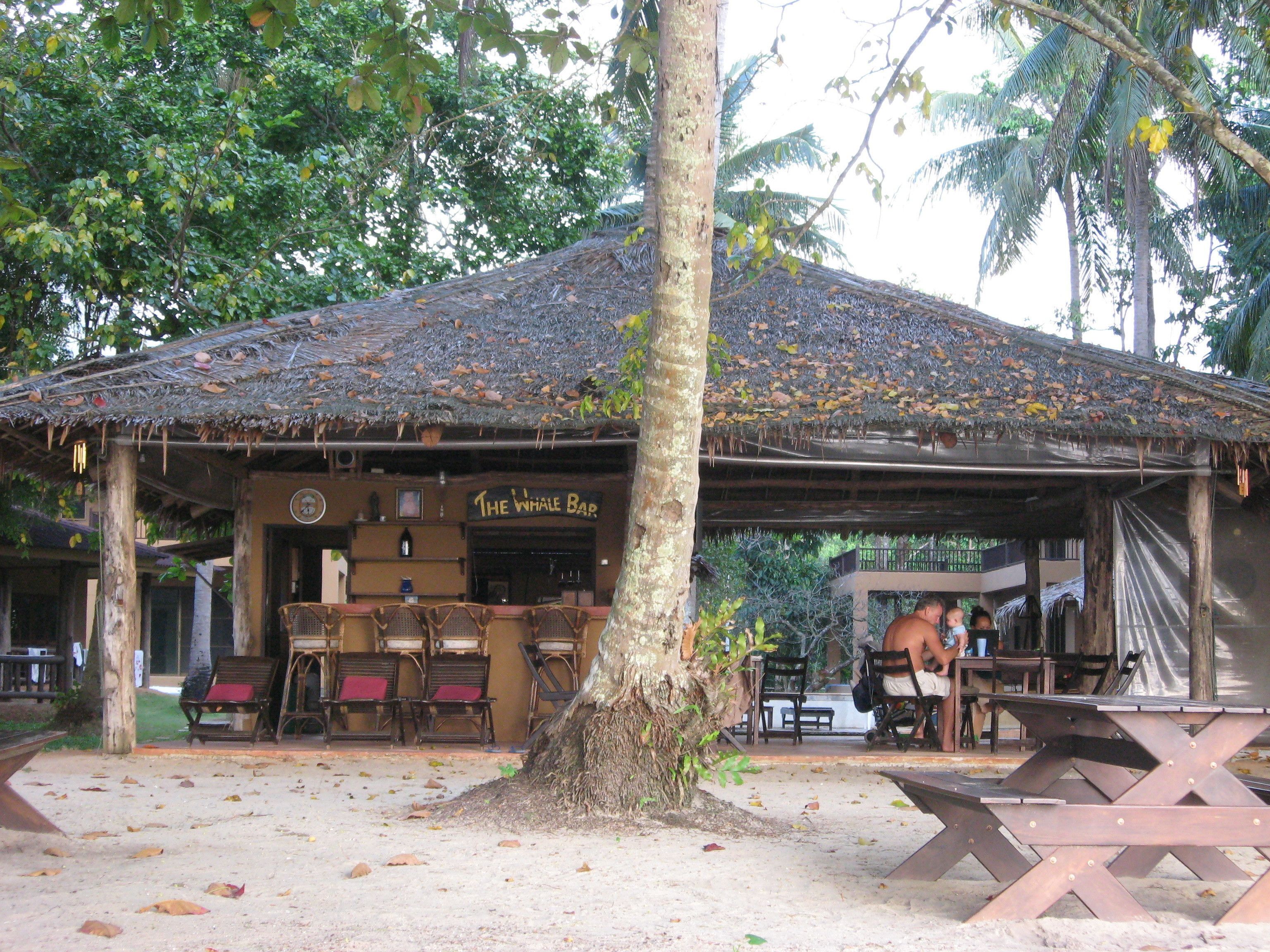 Eine rustikale Holzkonstruktion mit einem Strohdach, beschriftet mit "The Whale Bar", mit Barbereich, Sitzgelegenheiten und einem großen Baum im Vordergrund.