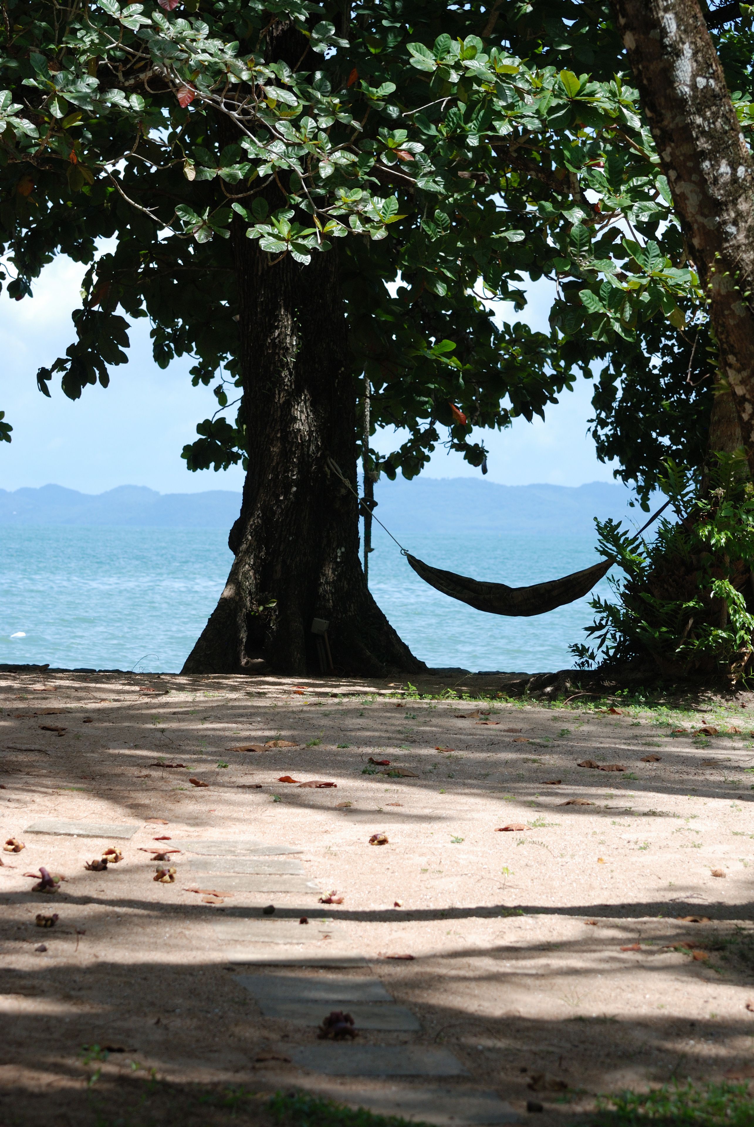 A hammock under a large tree by a beach with a view of the sea and mountains.