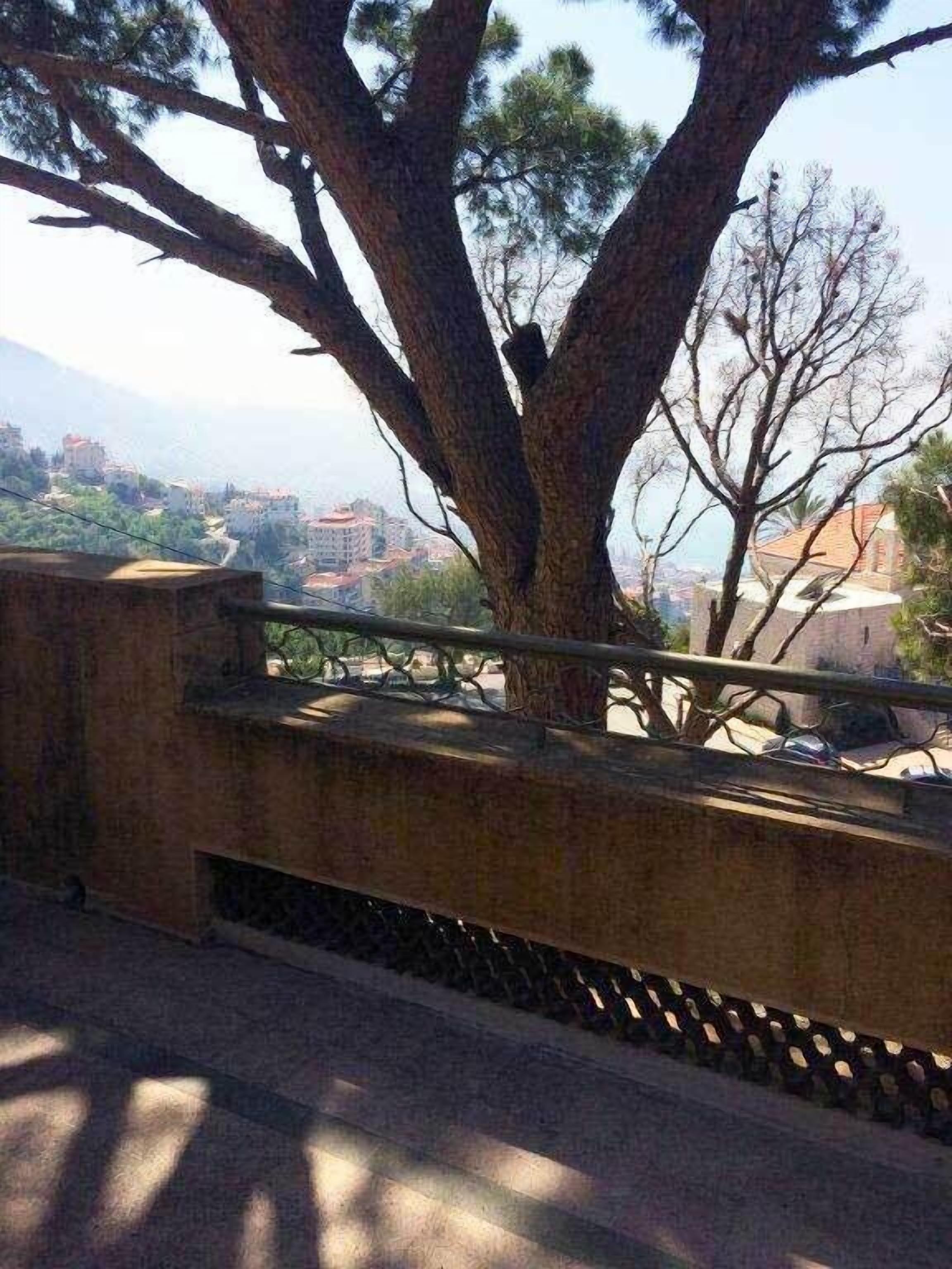 A tree-lined balcony with a view of a cityscape.