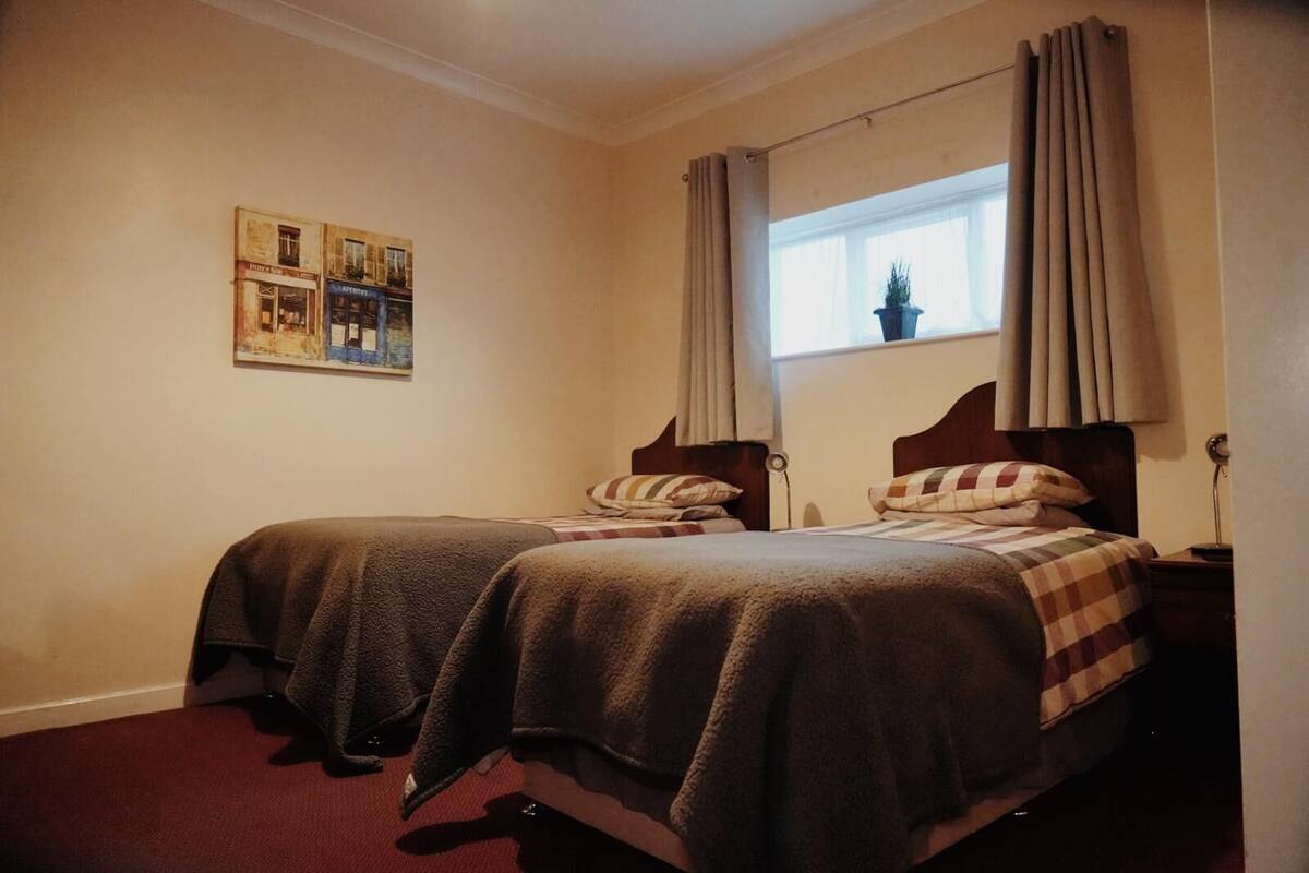 A room with two beds, a window with curtains, a wall-mounted picture, and a small potted plant.