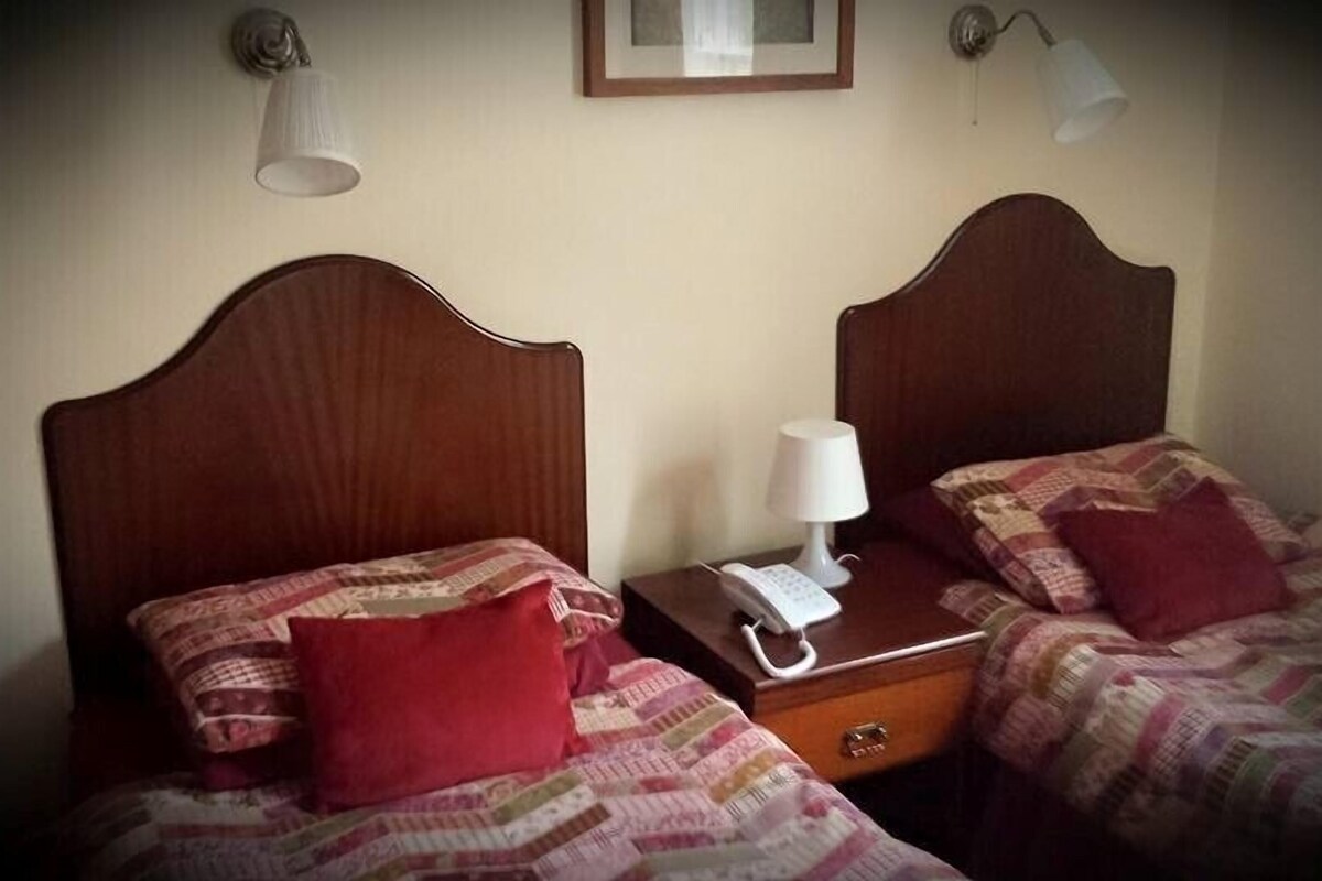 Two beds with wooden headboards, a bedside table with a lamp, and a phone.