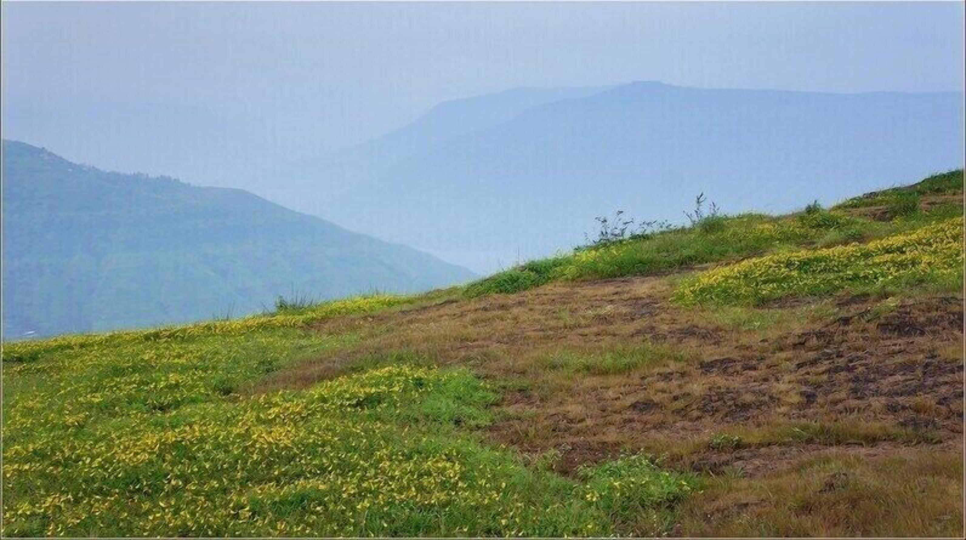 Un paisaje montañoso con zonas de hierba y flores silvestres.