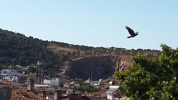 Un ave volando sobre un pueblo con edificios y una colina al fondo.