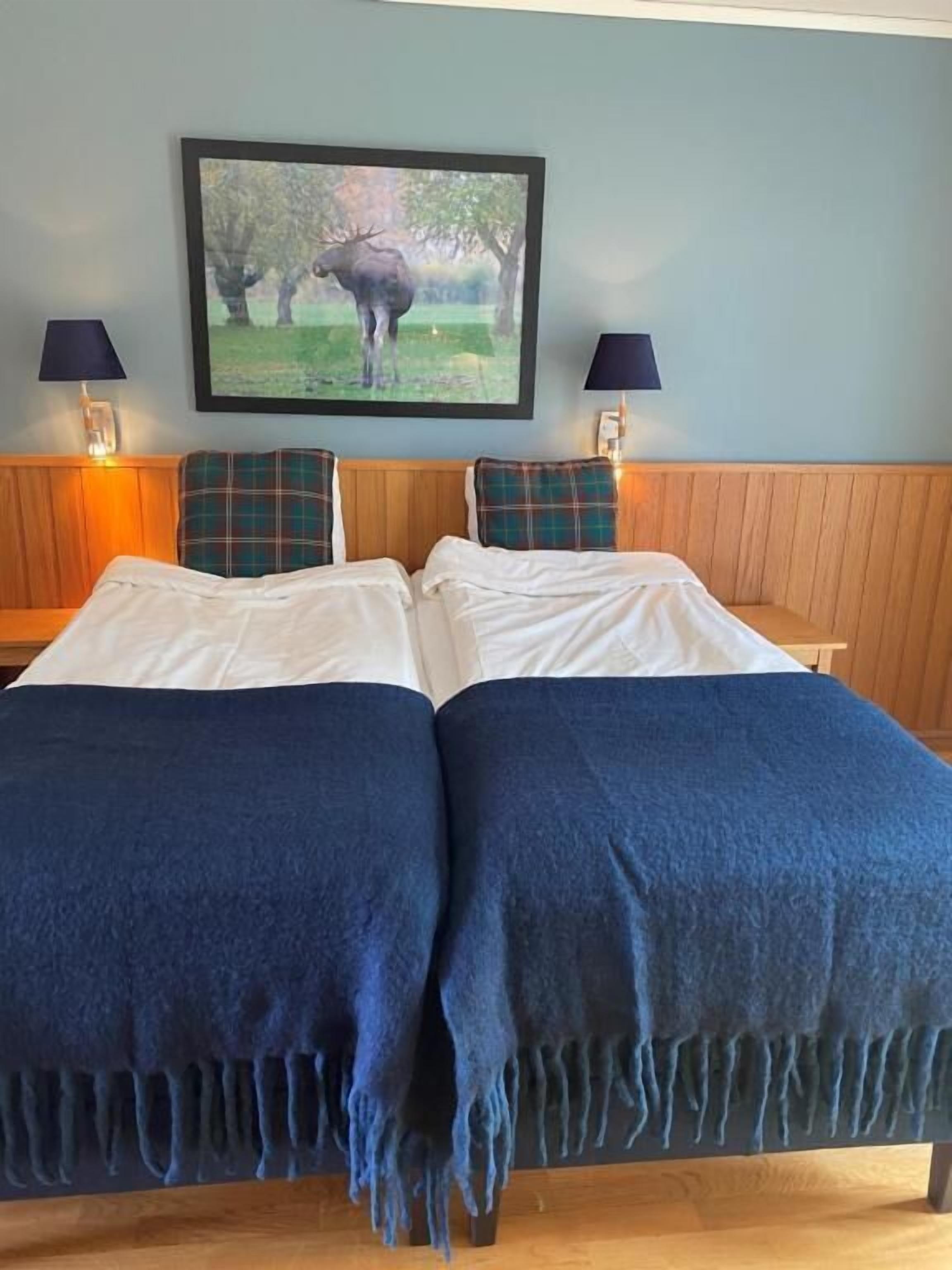 desk, iron/ironing board, free cots/infant beds, rollaway beds