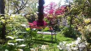 Un jardín con un banco y diversas plantas.