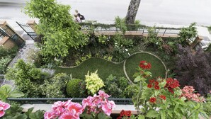 Un jardín con diversas plantas y flores, un sendero y una cerca.