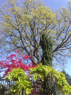 Garden - B&B Dimora Morelli (Gubbio)