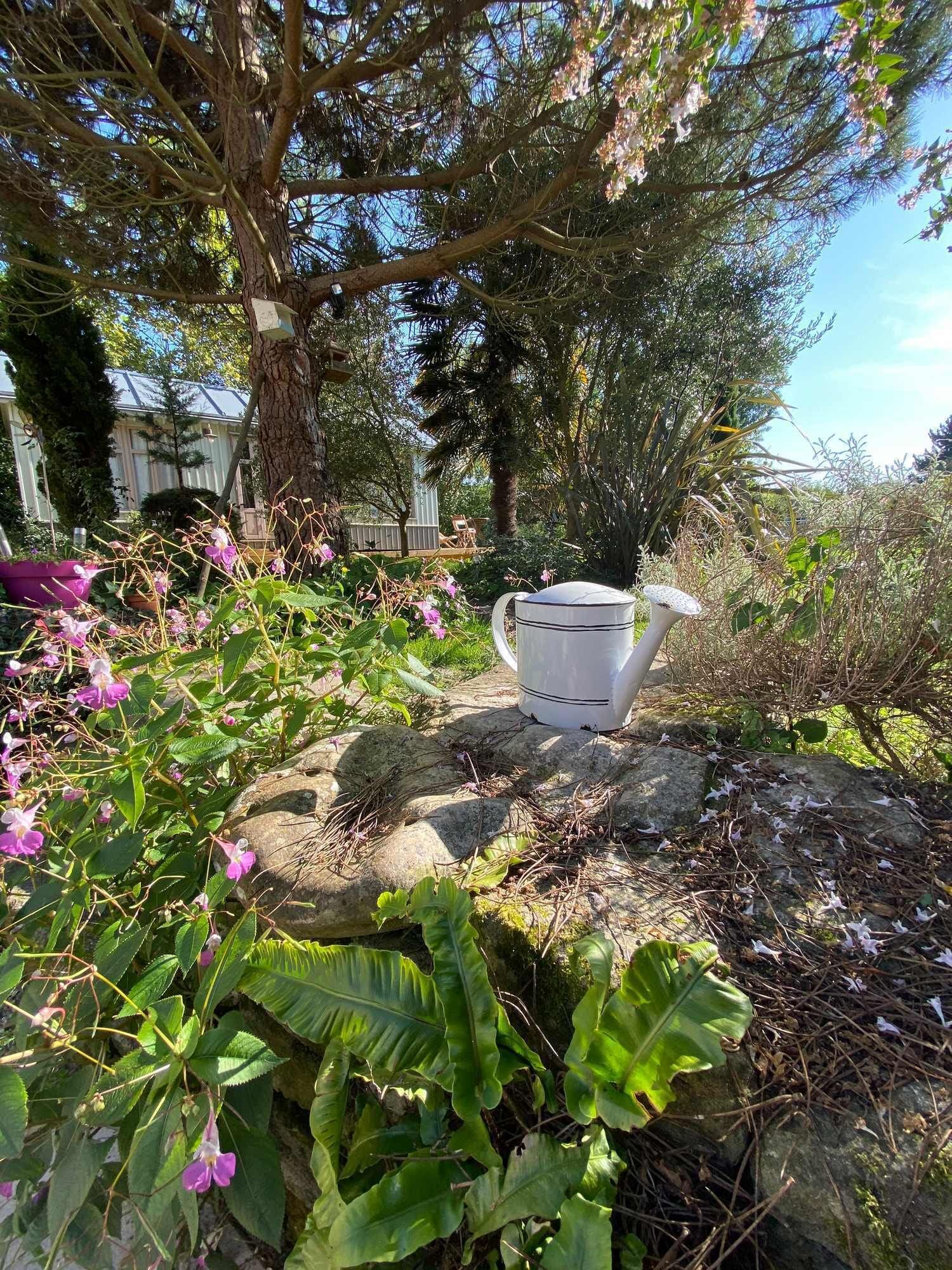 A garden with a white urn on a stone surface, surrounded by various plants and trees.