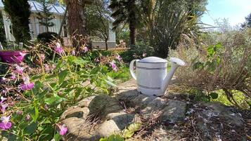 A garden with a white urn on a stone surface, surrounded by various plants and trees.
