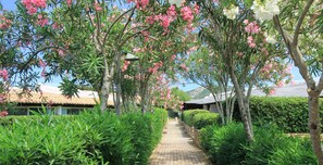 Aerial view - Capo Ceraso Family Residence (Olbia)