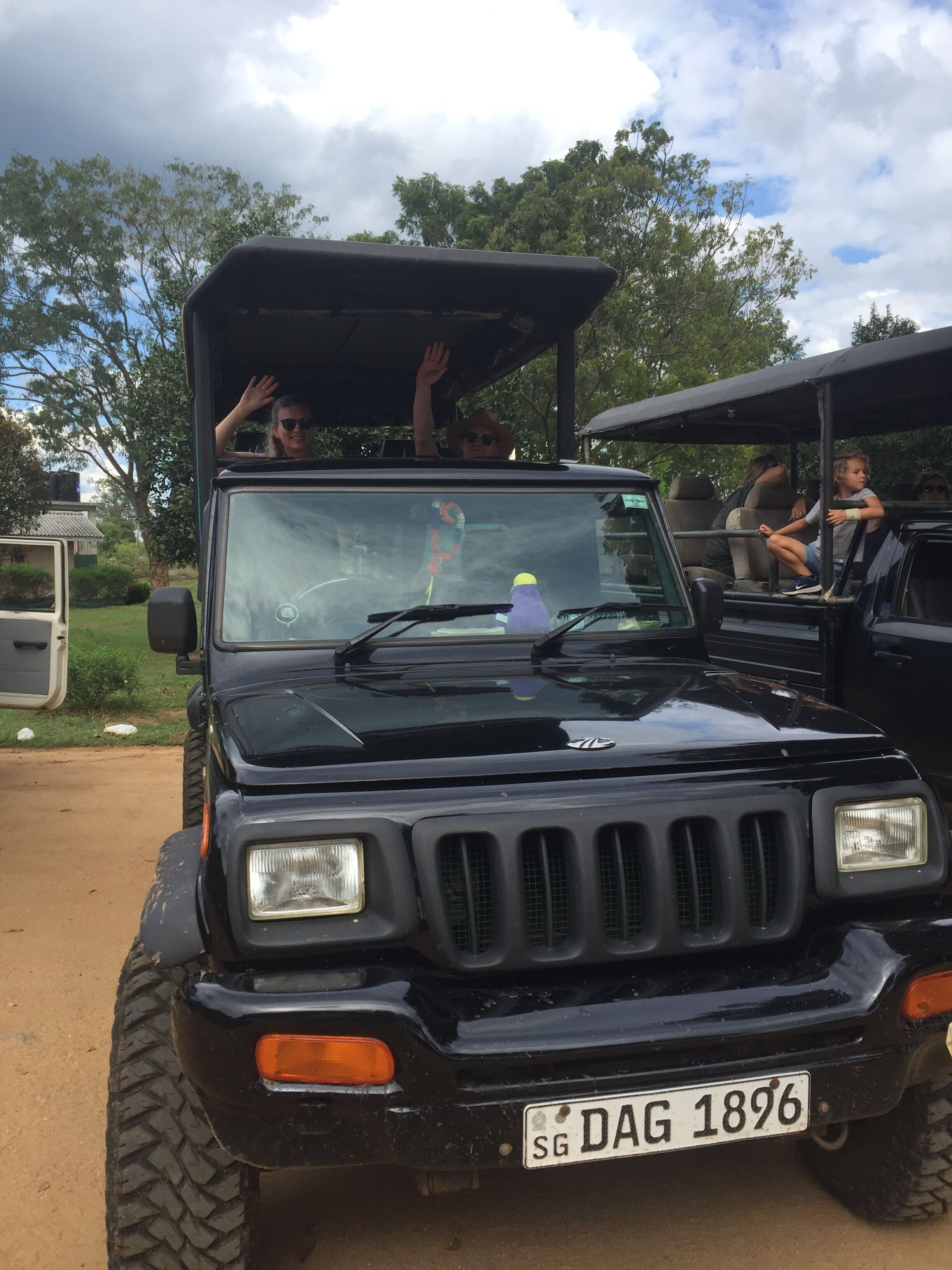 Safari