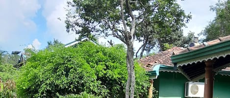 A lush garden with a variety of plants and trees, a green building with a tiled roof, and an air conditioning unit mounted on the wall.