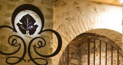 ChĂąteau Gigognan - Chambres d'hotes